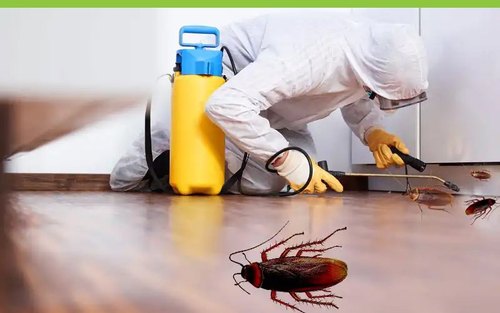 Commercial Pest Control