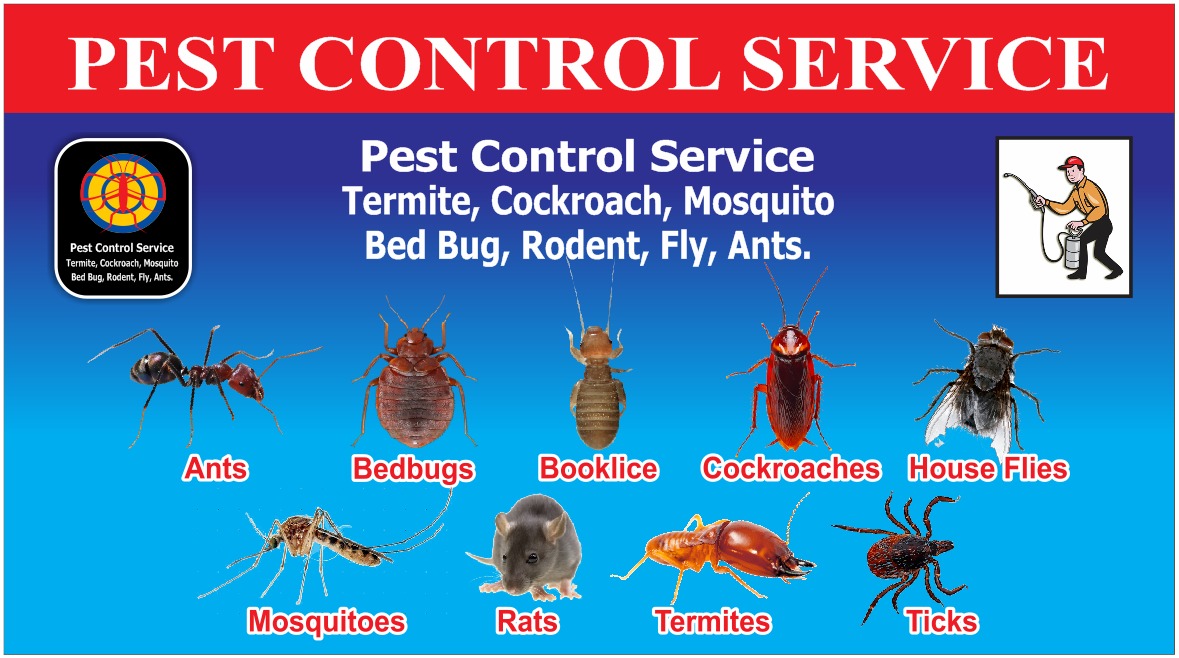 Commercial Pest Control